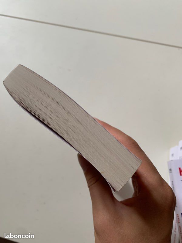 Livre - La vie mensongère des adultes - Elena Ferrante (image 3)