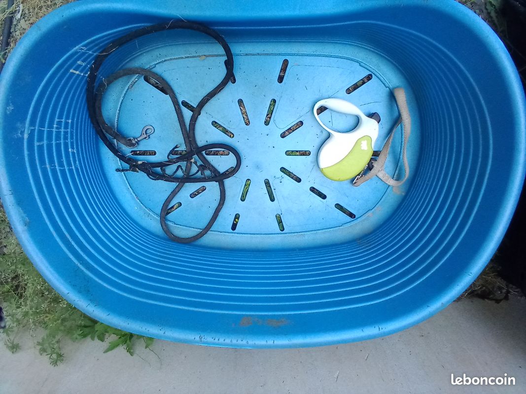 Niche chien + accessoires (image 3)
