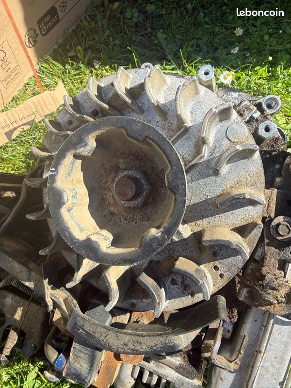 Volant magnétique de moteur Briggs et Stratton (image 2)