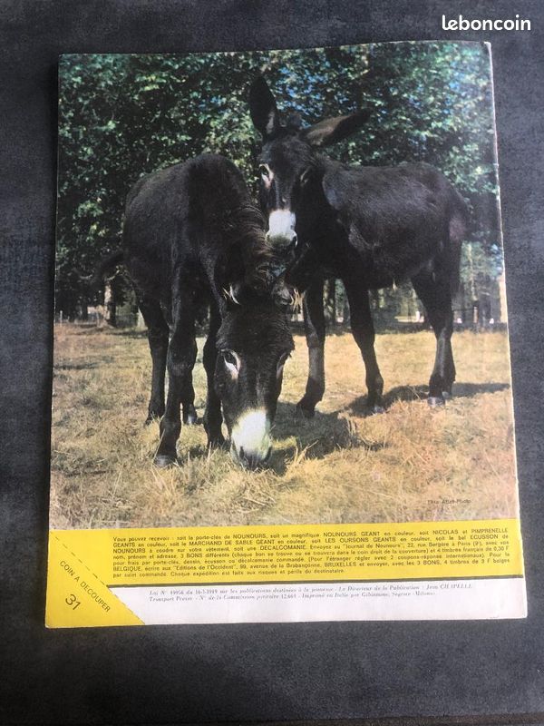 Le nouveau journal de Nounours N° 31 - Bonne nuit les petits magazine (image 3)