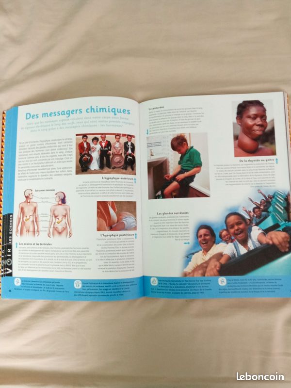 Livre sur le corps humain (image 2)