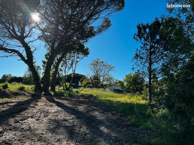 Terrain 580 m² VAUX SUR MER (image 2)