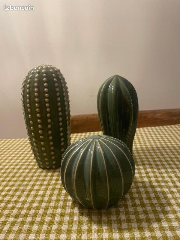 muschelzypresse bonsai kaufen Jetzt Kleine Muschelzypresse 'Nana Gracilis' online kaufen bei Bohlken  Pflanzenversand – Bohlken Pflanzenversand GbR