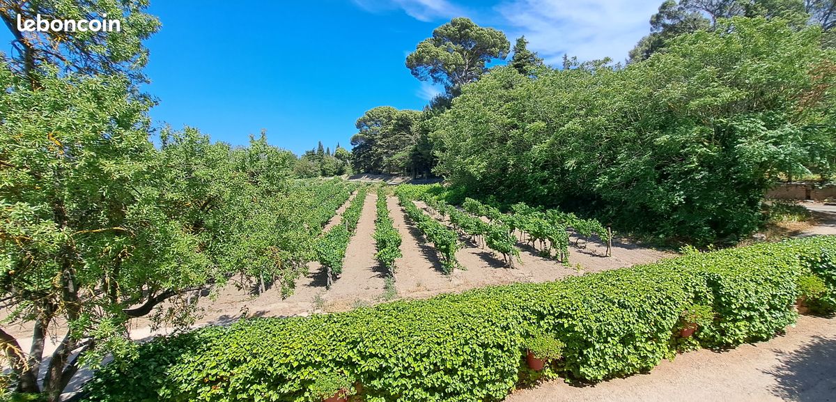 Maison a louer narbonne - 4 pièce(s) - 80 m2 - Surfyn