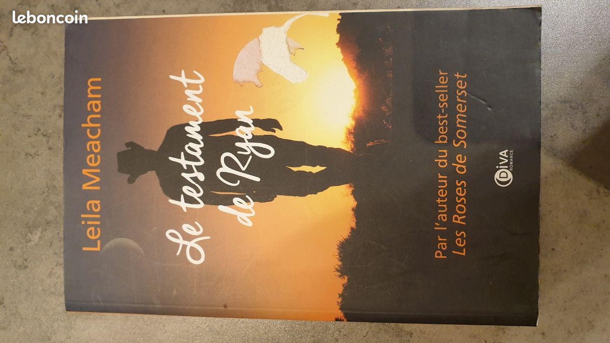 Livre LE TESTAMENT DE RYAN (image 1)