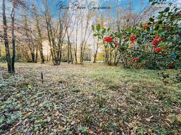Terrain 1 445 m² La Chapelle Gonaguet