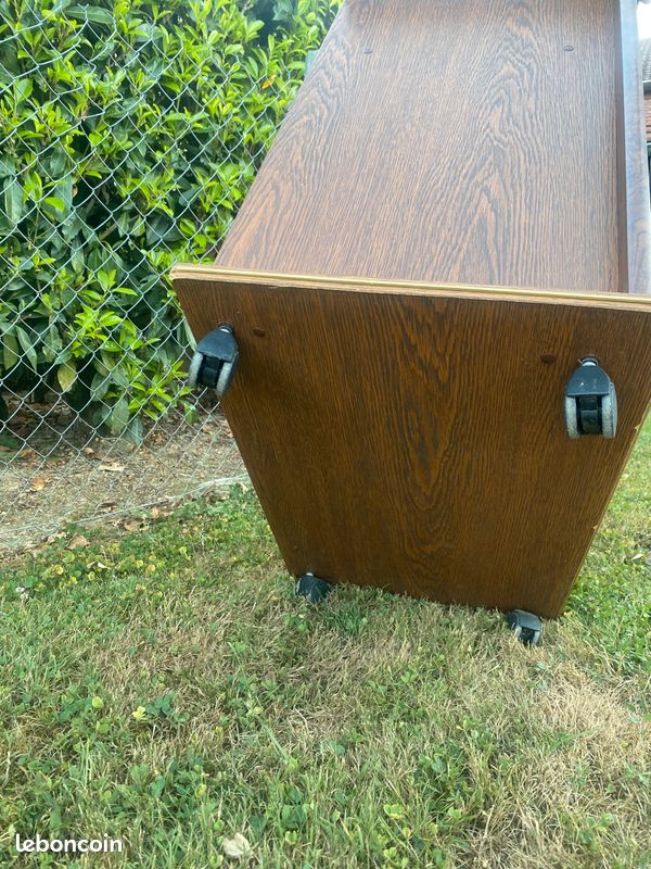 Meuble télé porte vitrée vintage (image 6)