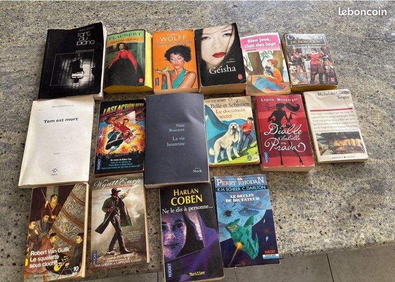 Lot de 16 livres /romans (image 1)