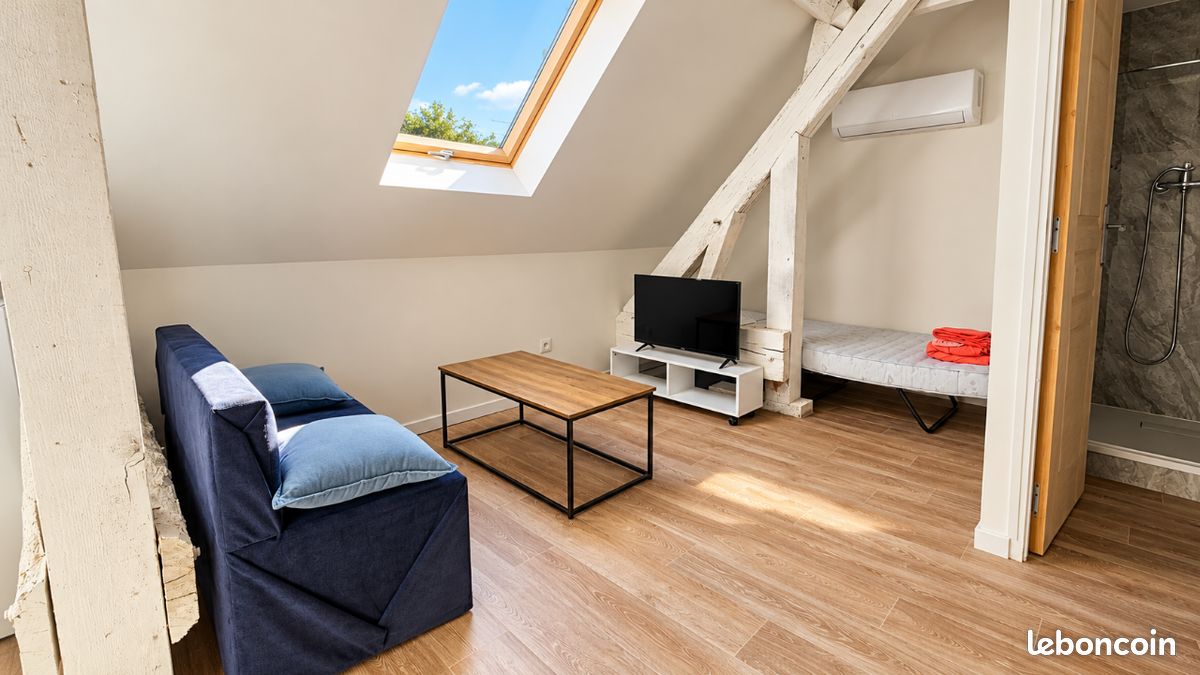 Appartement 1 pièce 20 m² · à Olivet · 20 m² · 480 €/mois
