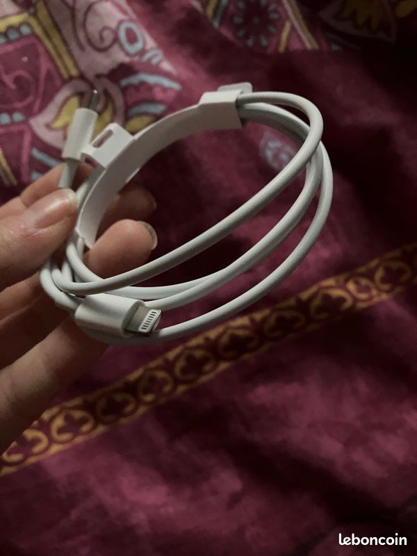 Chargeur Lightning/USB C (image 4)