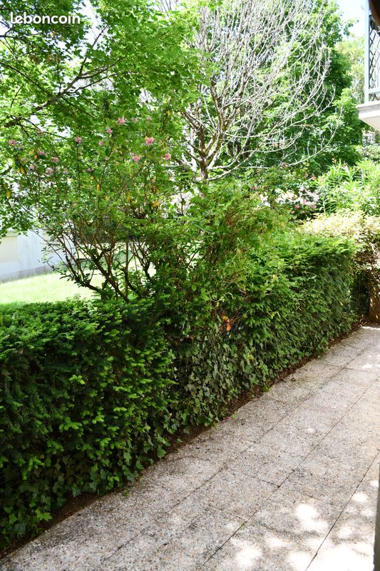 Appartement 2 pièces 50 m² · à Saint-Herblain · 50 m² · 156 000 €