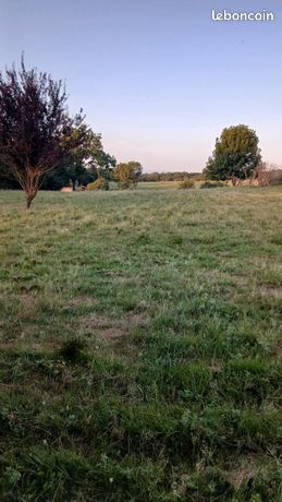 Terrain constructible