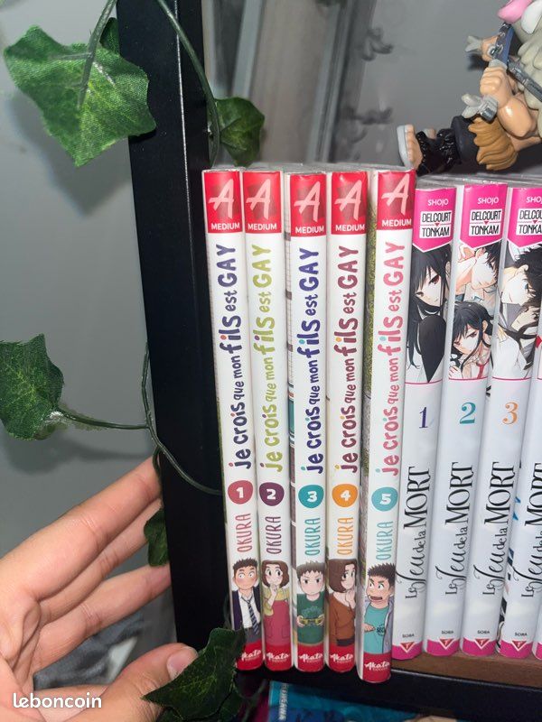 Lot manga (image 1)