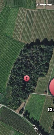 Parcelle de forêt