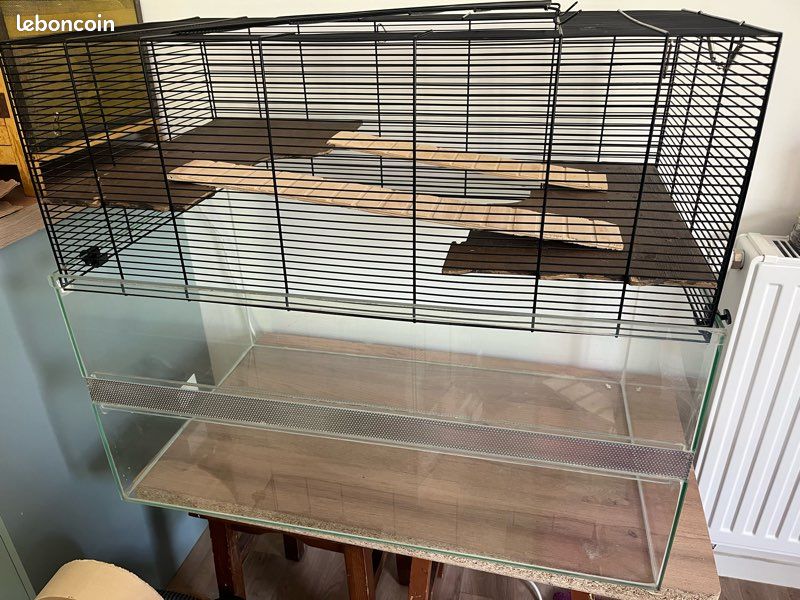 Cage rongeur (gerbille, souris, hamster, rat) (image 1)