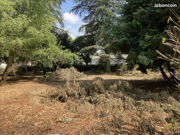 Terrain 1 259 m² Antonne Et Trigonant