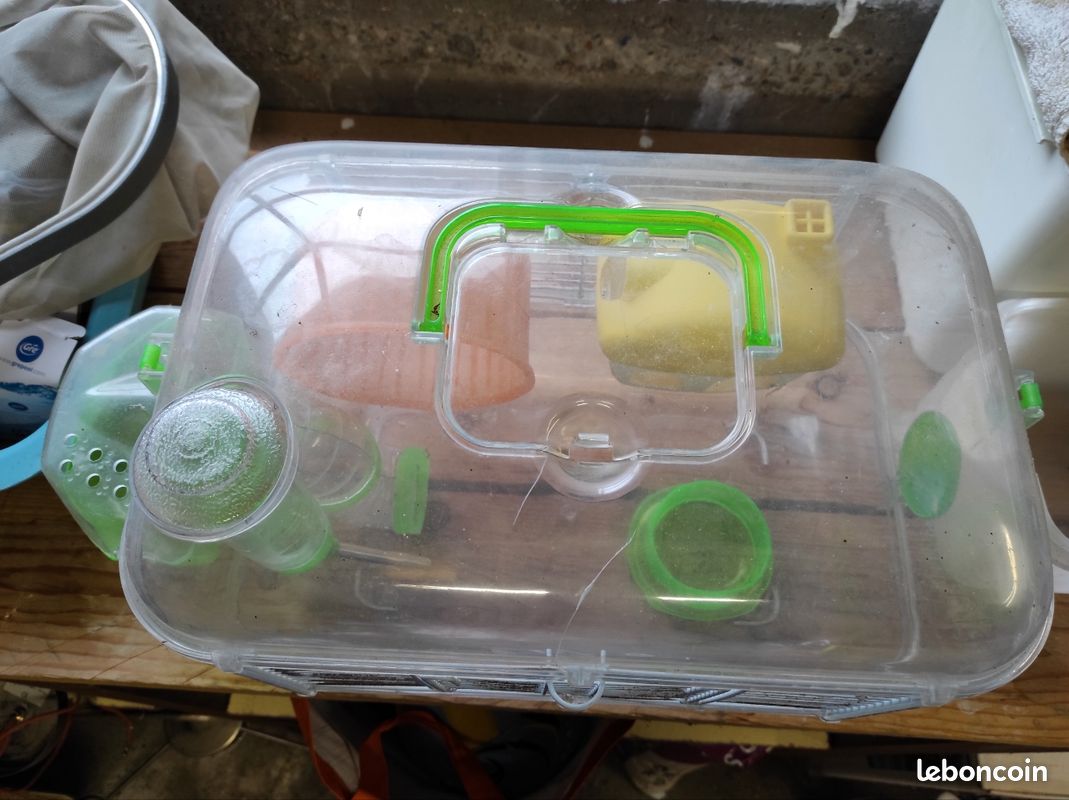 Maison pour hamsters đč (image 2)