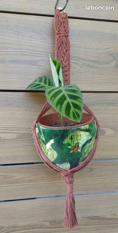 Suspension pour plante en macramé couleur brique (image 1)