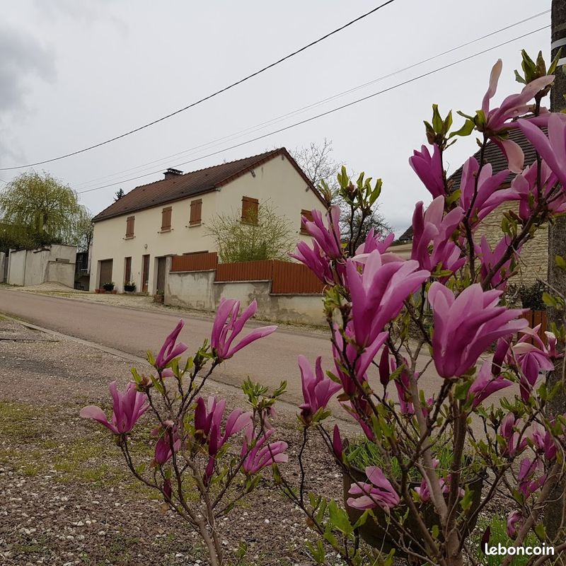 Location pour route du champagne (image 1)