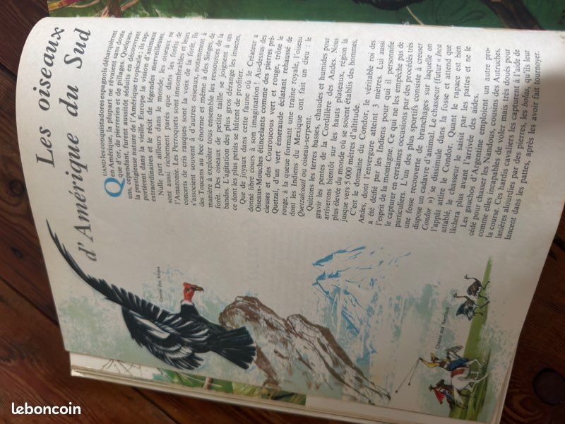 TBE - Pierre Probst auteur Caroline livre Le monde des oiseaux encyclopédie en couleurs Hachette (image 5)