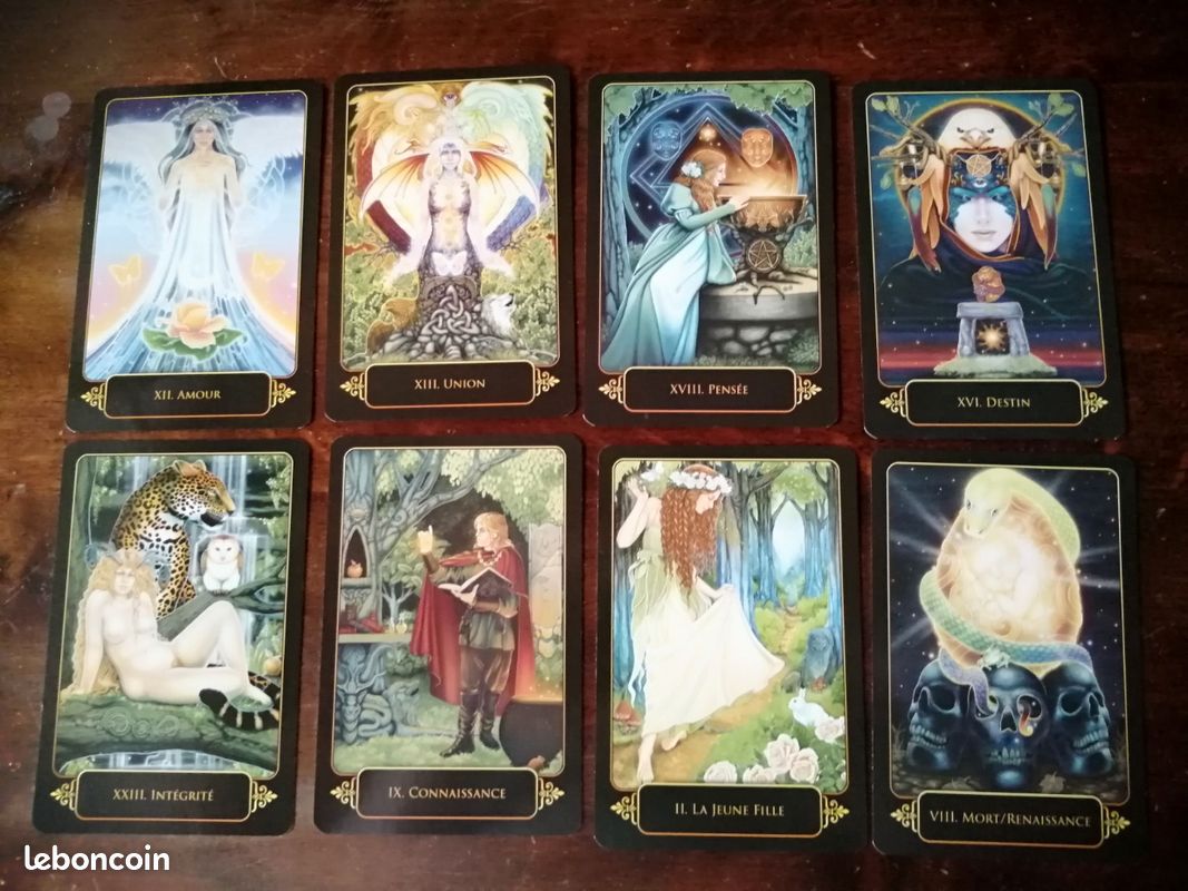 Le tarot des rêves de Gaïa (de Ravynne Phelan)- relié et illustré (image 9)