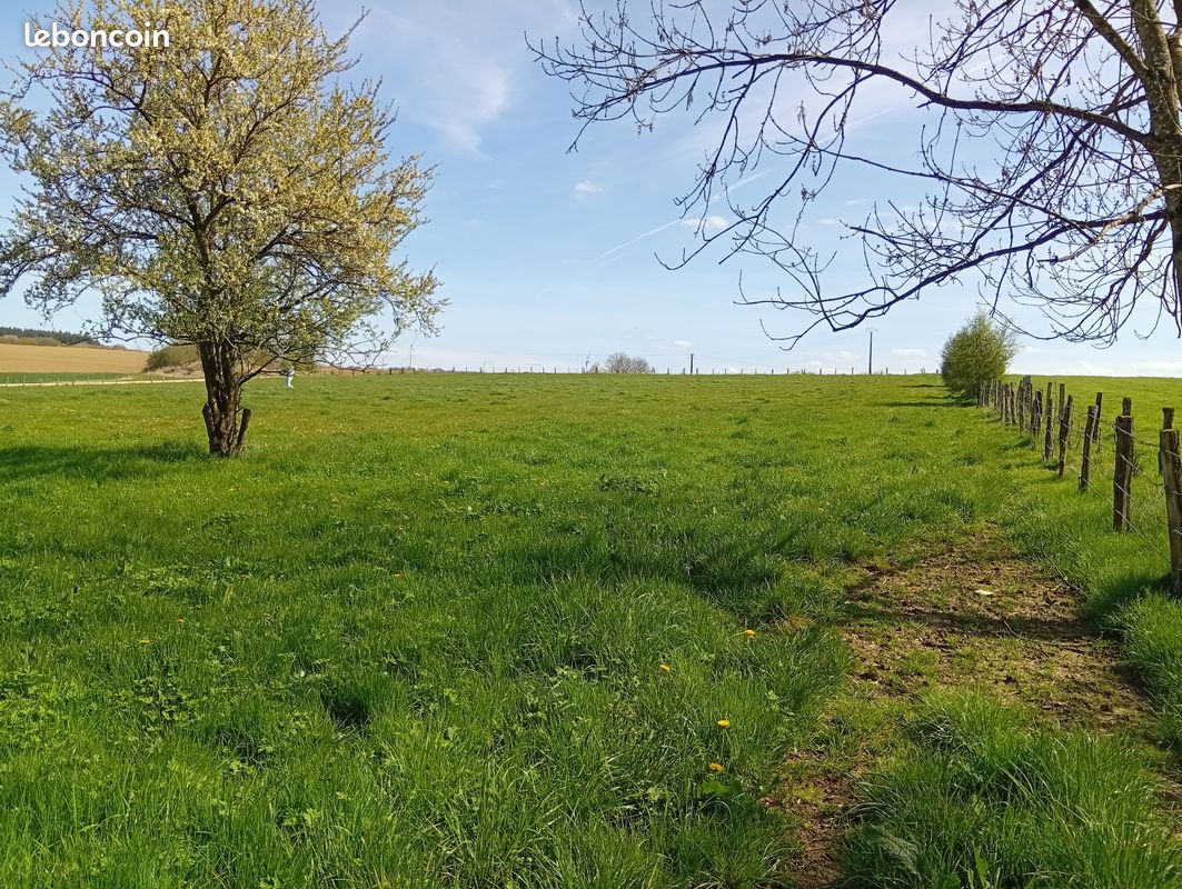 Terrain 6340 m² · à Nancy · 120 000 €