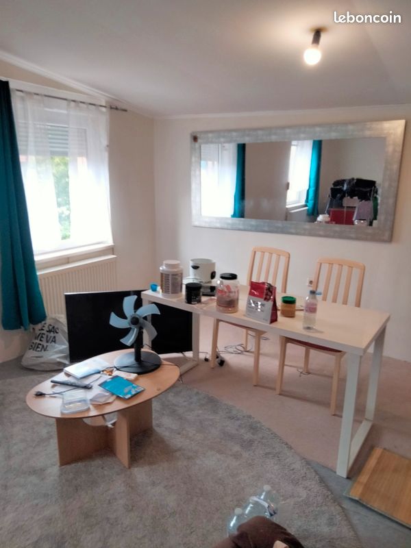 Appartement 1 pièce 46 m² · à Yutz · 46 m² · 700 €/mois