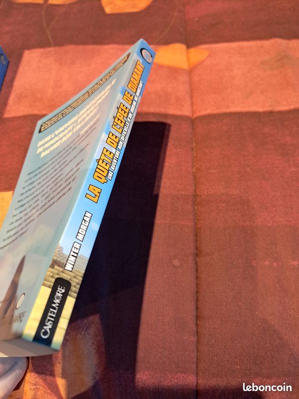 2 livres Minecraft (image 9)