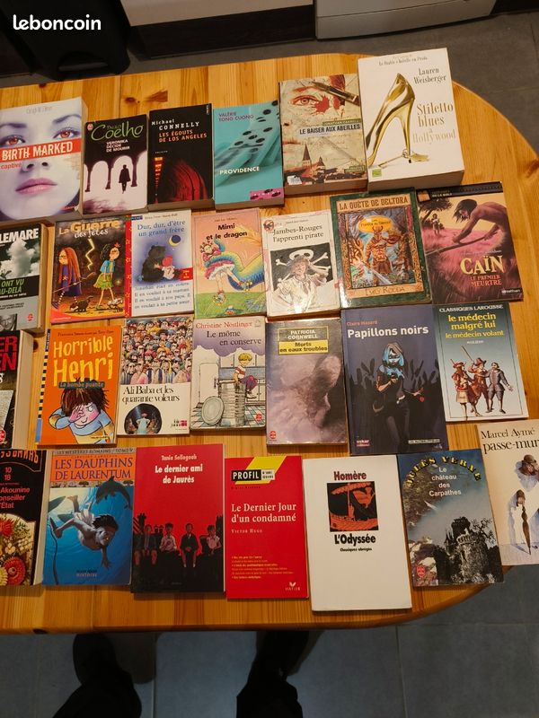 120 livres à choisir dès 5 – Kessel, Romain Gary, Agatha Christie, Fred Vargas… (image 5)