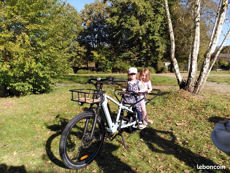 Vélo électrique longtail cargo (image 2)