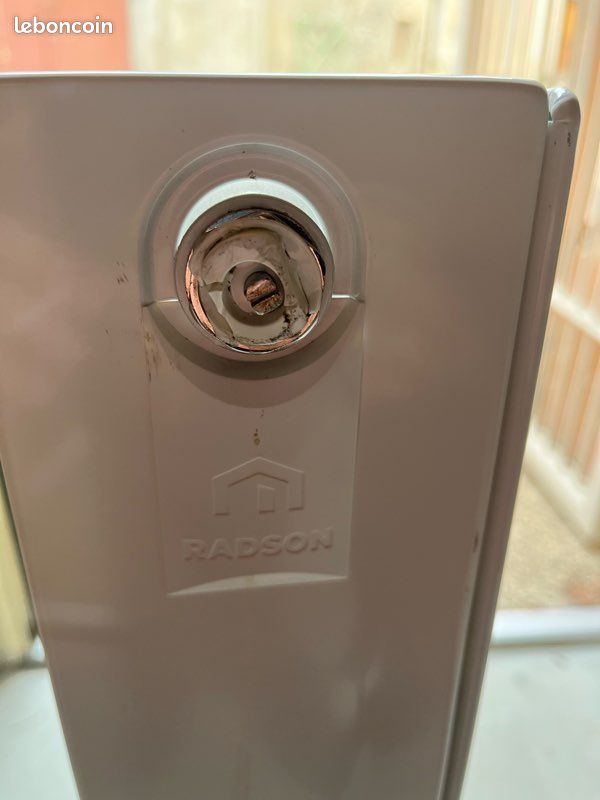 Radson Radiateur Eau (image 3)