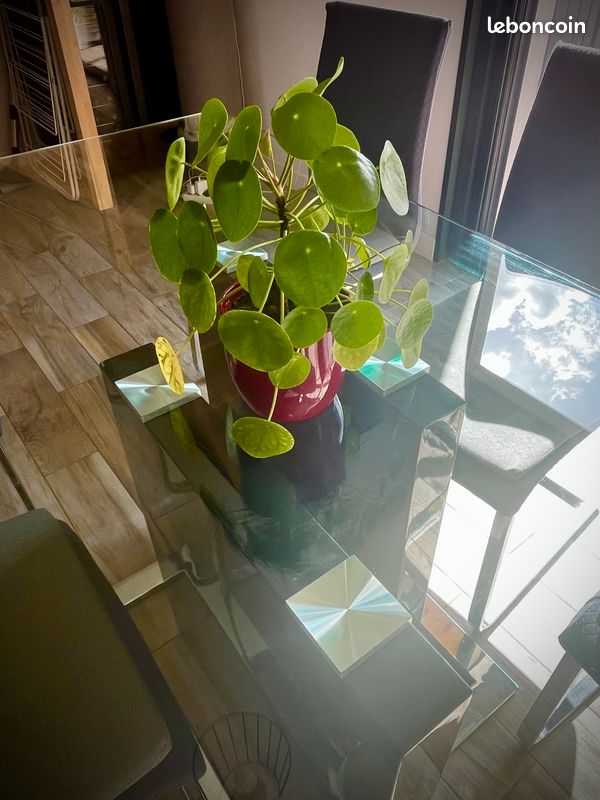 Table à manger en verre (image 6)