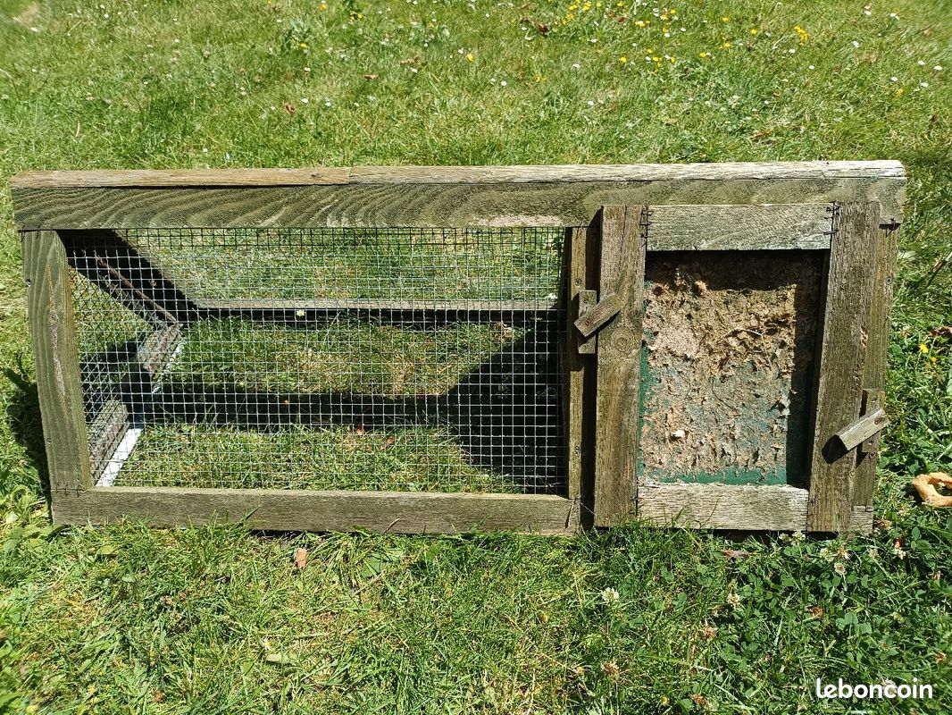 Cabane rongeurs (image 1)