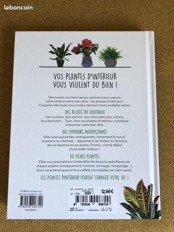 Vos plantes d'intérieur vous veulent du bien (image 3)