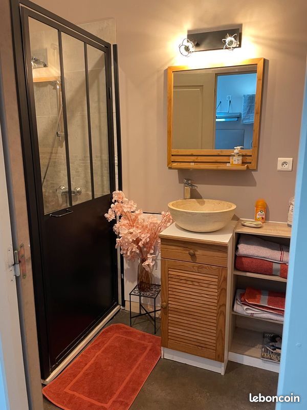 2 gîtes proches Futuroscope avec spa, sauna, piscine, massages (en bord de rivière) (image 11)