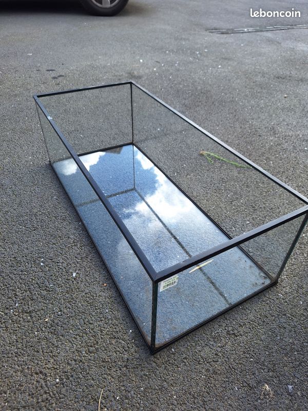 Terrarium (image 1)