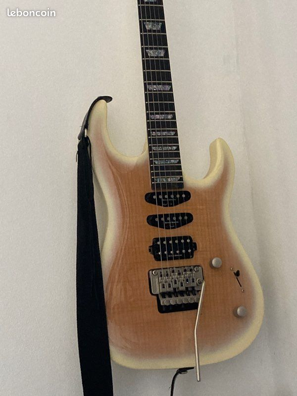 Guitare électrique Greg Benneth (image 2)