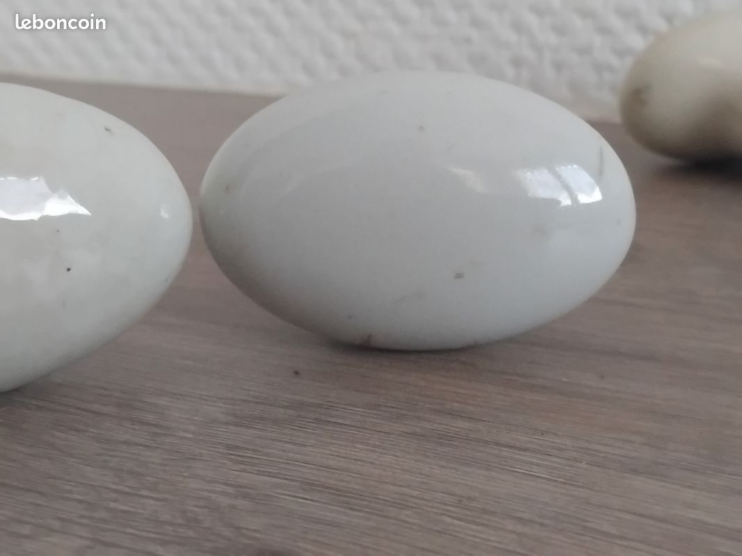 Lot 5 Poignées de porte porcelaine ovales vintage rétro ancienne (image 13)