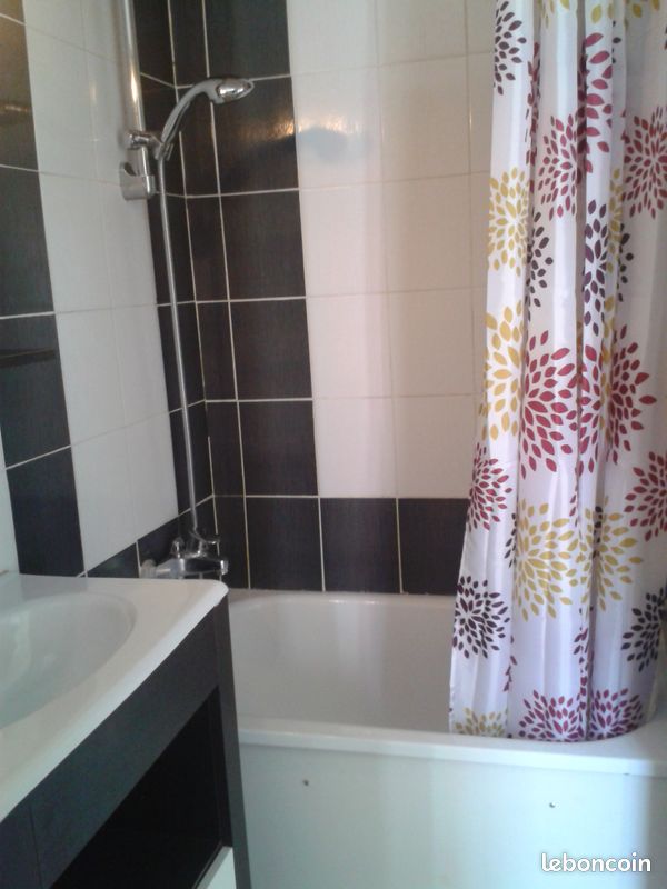 Loue F1 meublé (image 3)