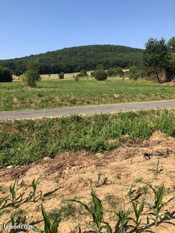Terrain agricole