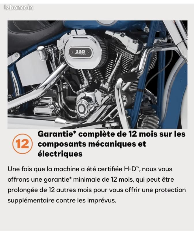 Harley Davidson SOFTAIL SLIM 1745 (image 12)