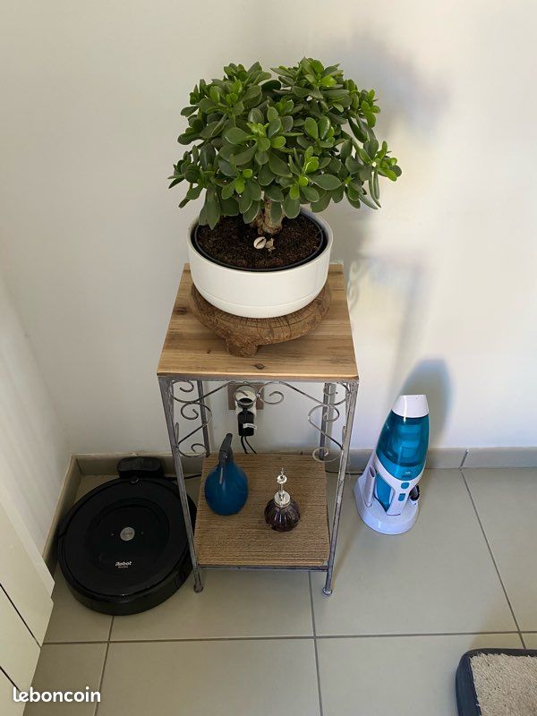 Console selette étagère plante (image 2)
