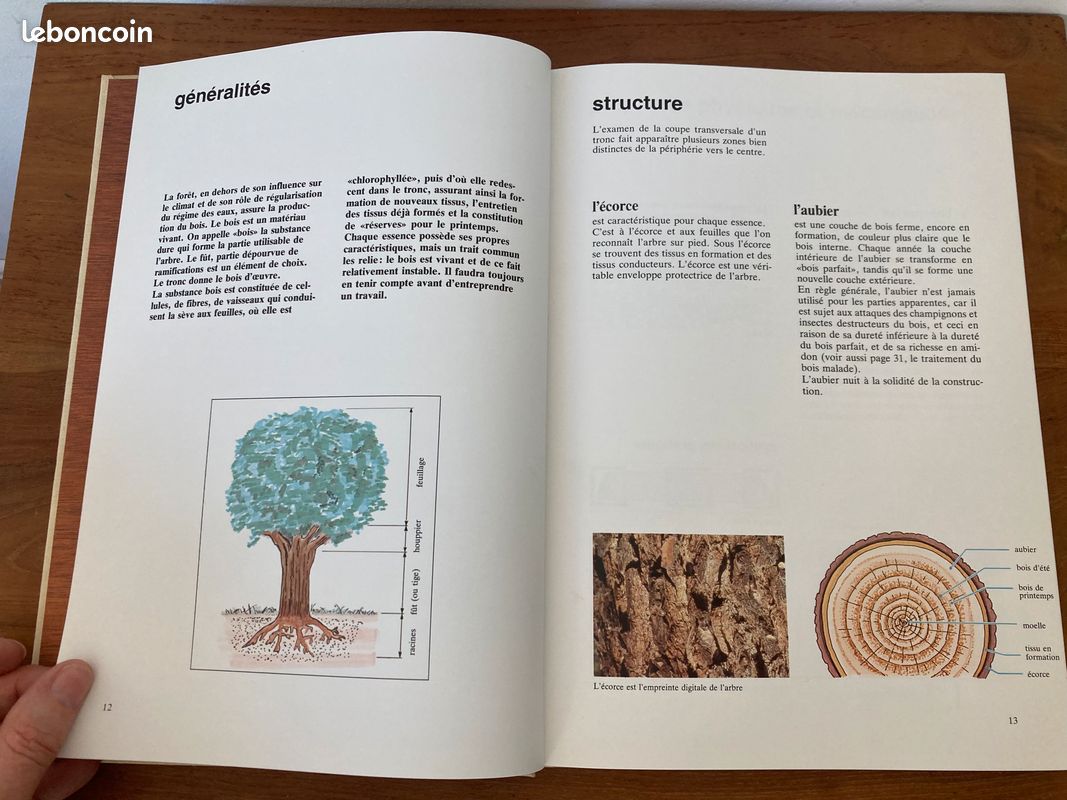Comment choisir son bois guide pratique du bois éditions Kity Yves Touchard et Alphonse Meyer (image 11)
