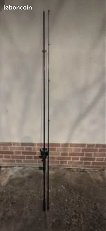 Canne à carpe Set carp 300 3,60M (image 1)