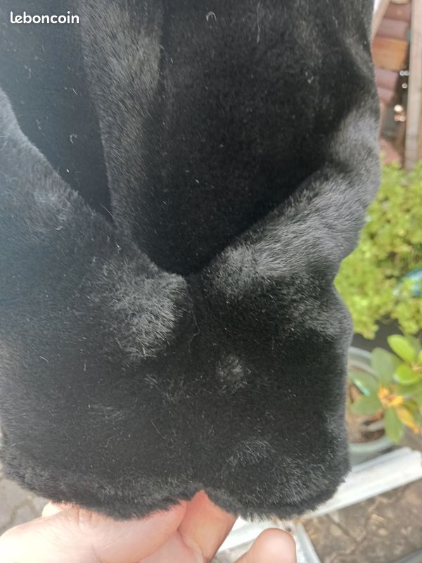 Manteau (image 4)
