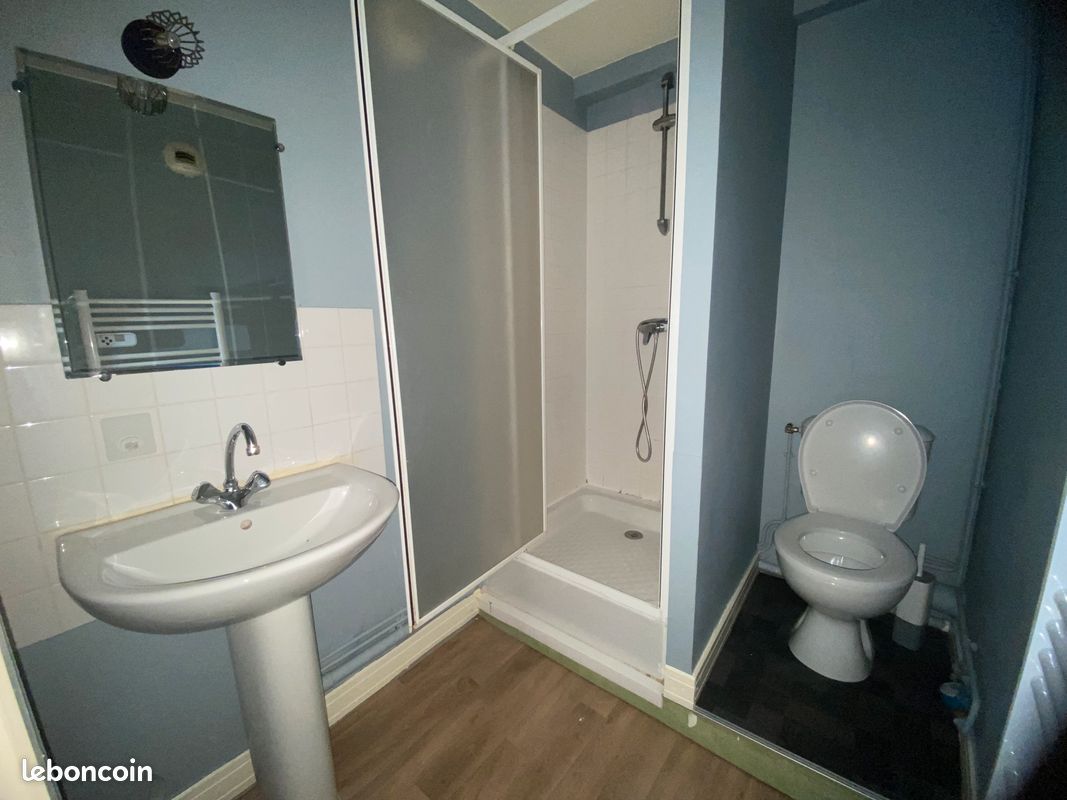 Grand studio centre ville - Limoges 87000 (image principale 2)