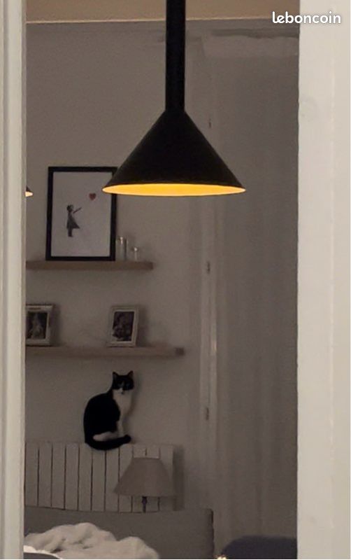 Luminaire suspension en métal 3 lampes (image 3)