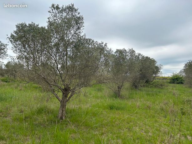 Location terrain agricole non constructible