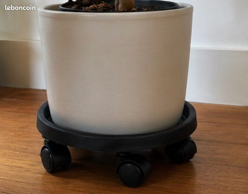 Lot de 2 plateaux à roulettes pour plantes – Ø 30 cm (image 2)