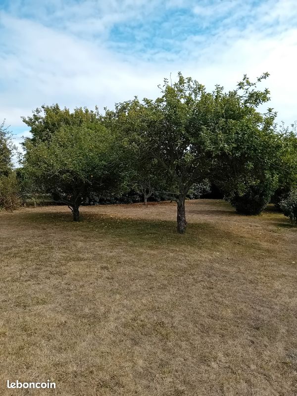 Terrain constructible 540 ou 270 m2 · à Le Conquet · 132 000 €